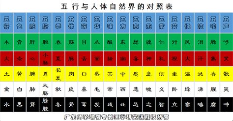 行字五行